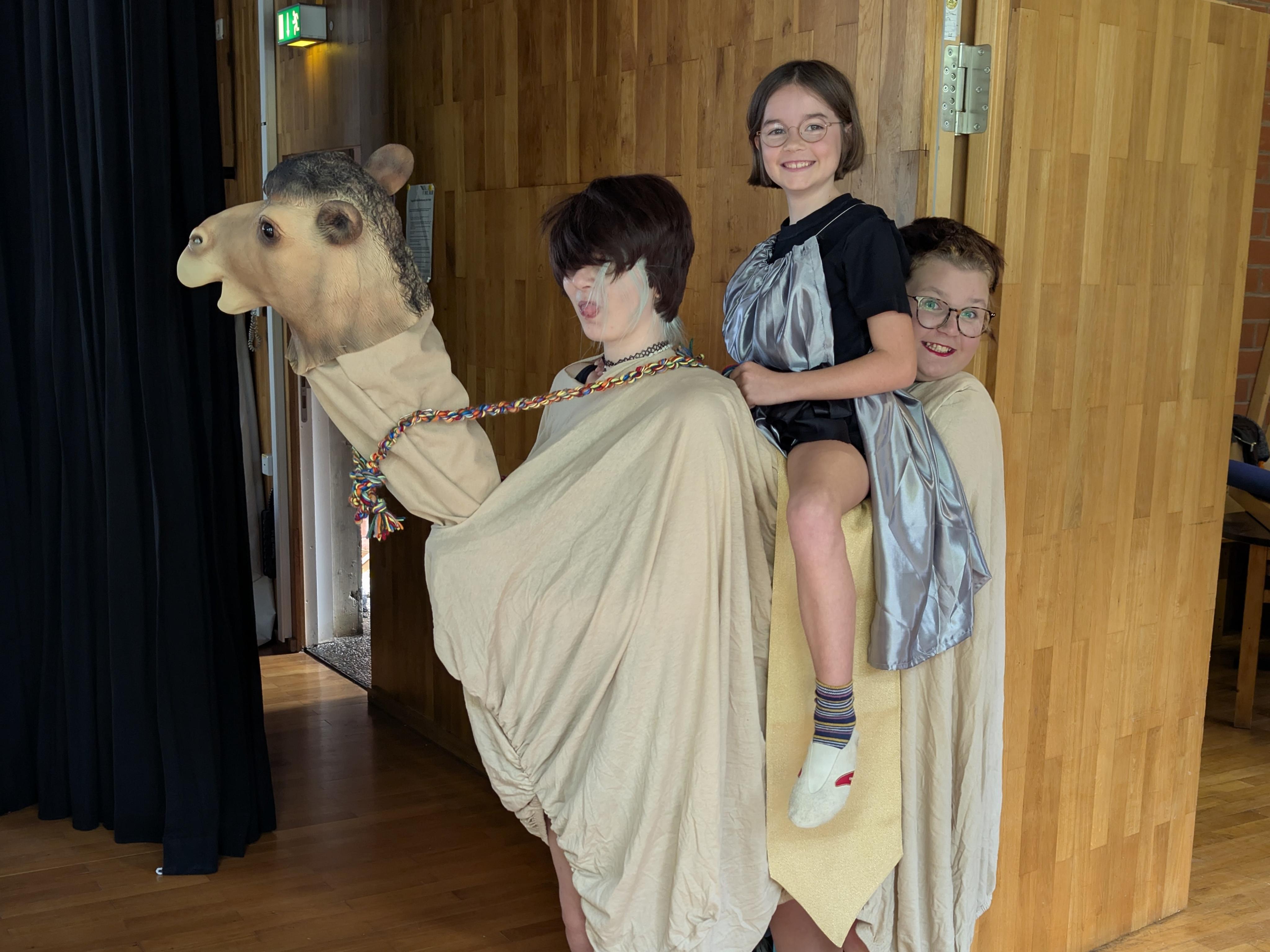 signal-2026-02-13-230106_004